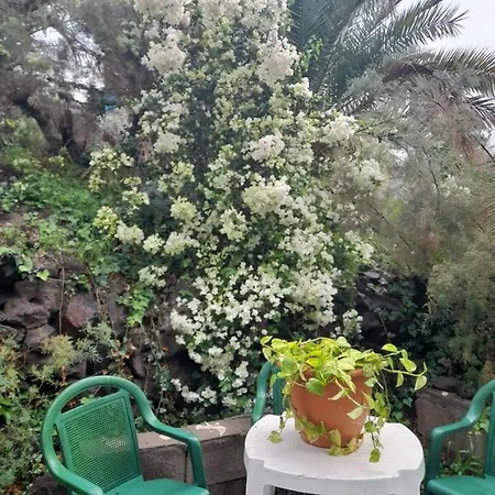 Apartmán -the Garden - Las Palmas de Gran Canaria